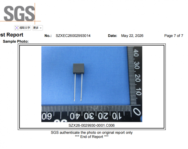 集電通微型保險絲方形系列SGS報告：RoHS
